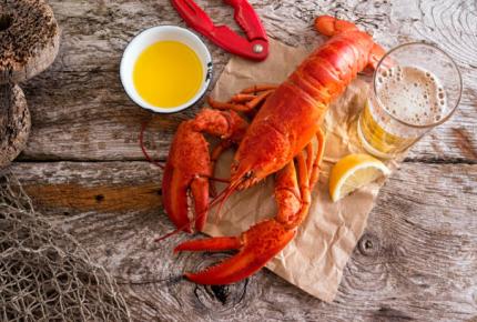 lobster1