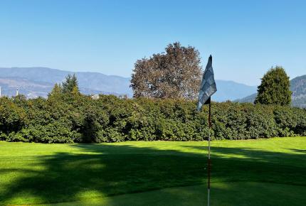 Golf at cedar heights