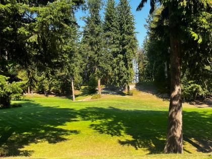 Pitch & Putt at Cedar Heights