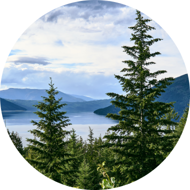 Lake view